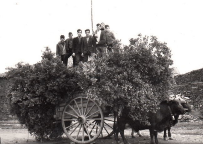 Los Santos – Memoria Gráfica